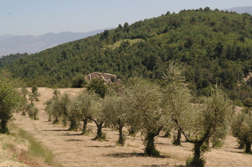 Montemartano