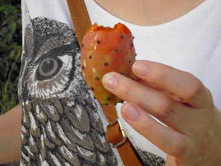 Prickly