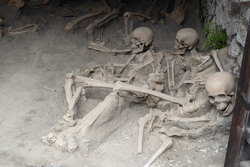 Dead in the boat sheds